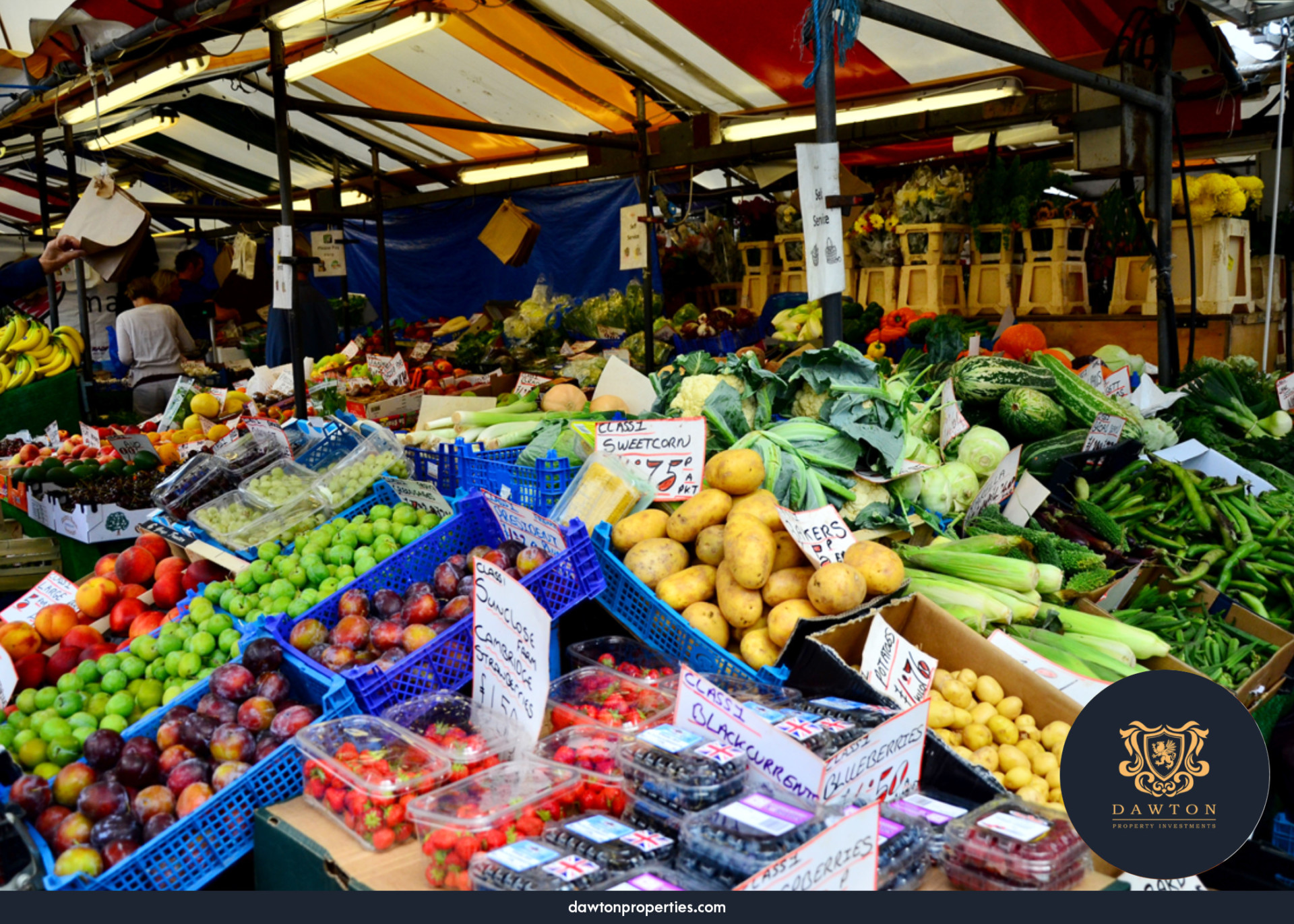 What to Buy at the Cambridge Farmers Market | Dawton Properties